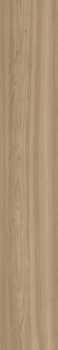 YKSG6 2012BS RM.jpg